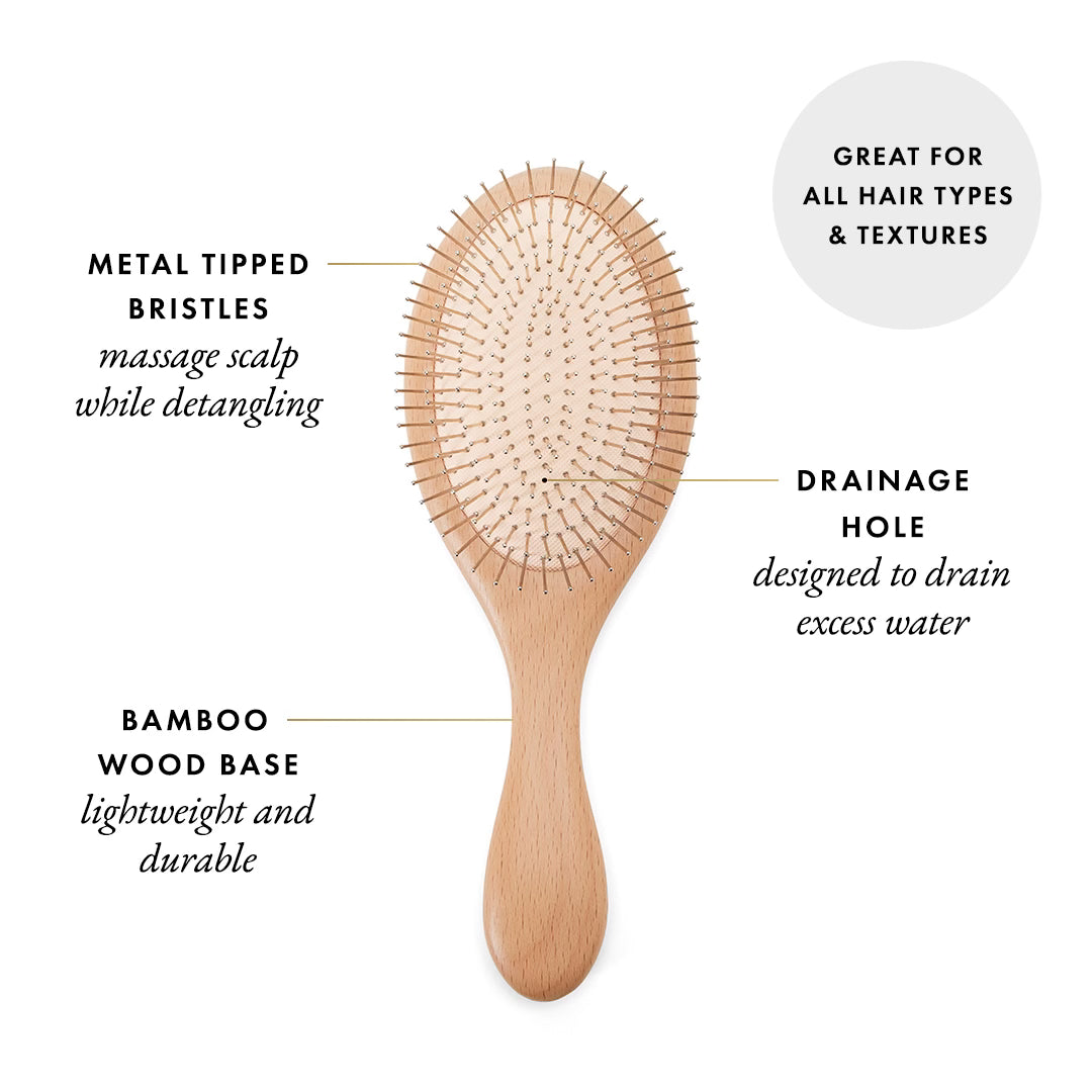 The Brush For Everyone Wholesale 10 Pack